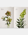 Flower Color Guide-Phaidon-Idlewild