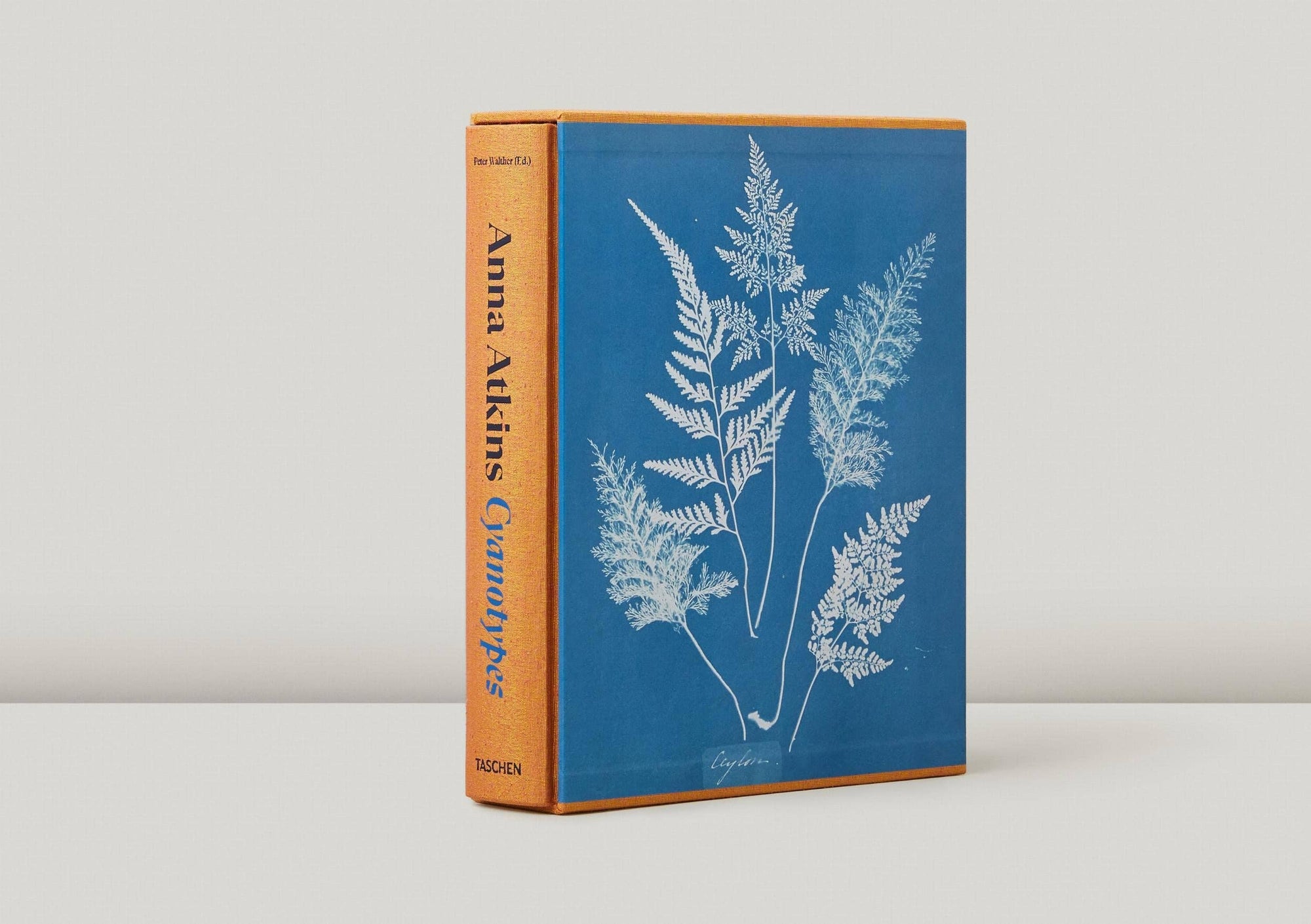 Anna Atkins. Cyanotypes (German, French, English) (FFE)-TASCHEN America-Idlewild