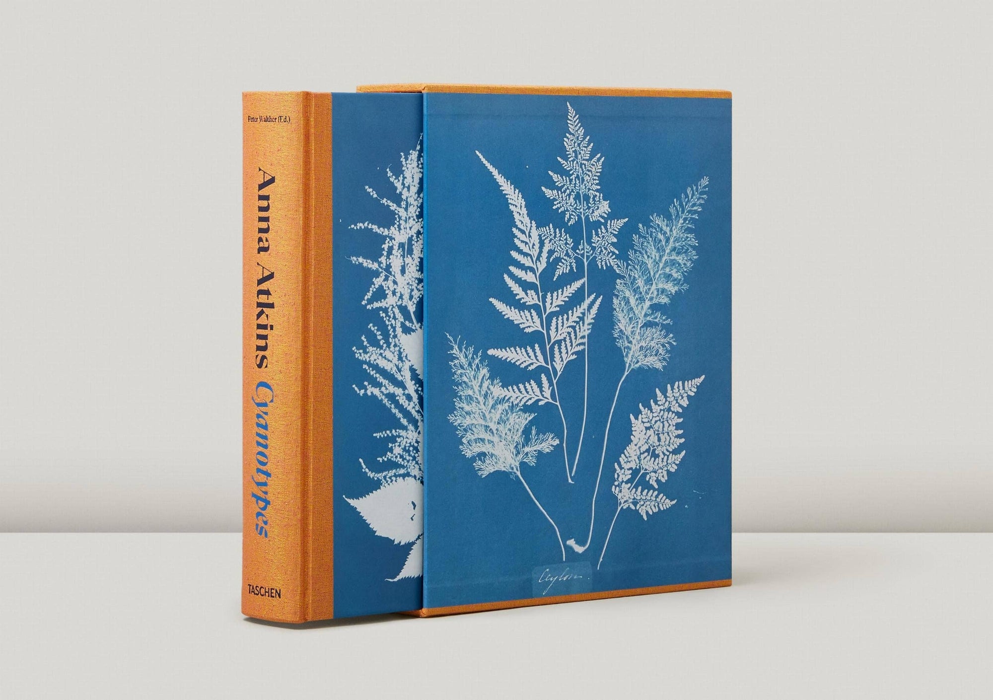 Anna Atkins. Cyanotypes (German, French, English) (FFE)-TASCHEN America-Idlewild
