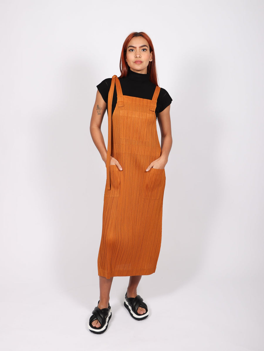 February Monthly Colors Dress in Light Brown by Pleats Please Issey Miyake