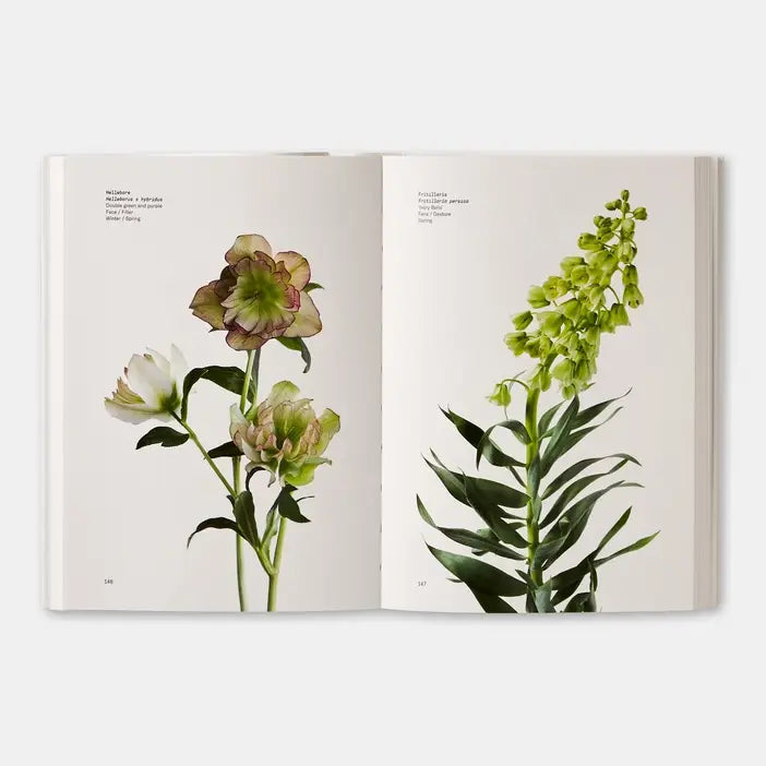 Flower Color Guide-Phaidon-Idlewild