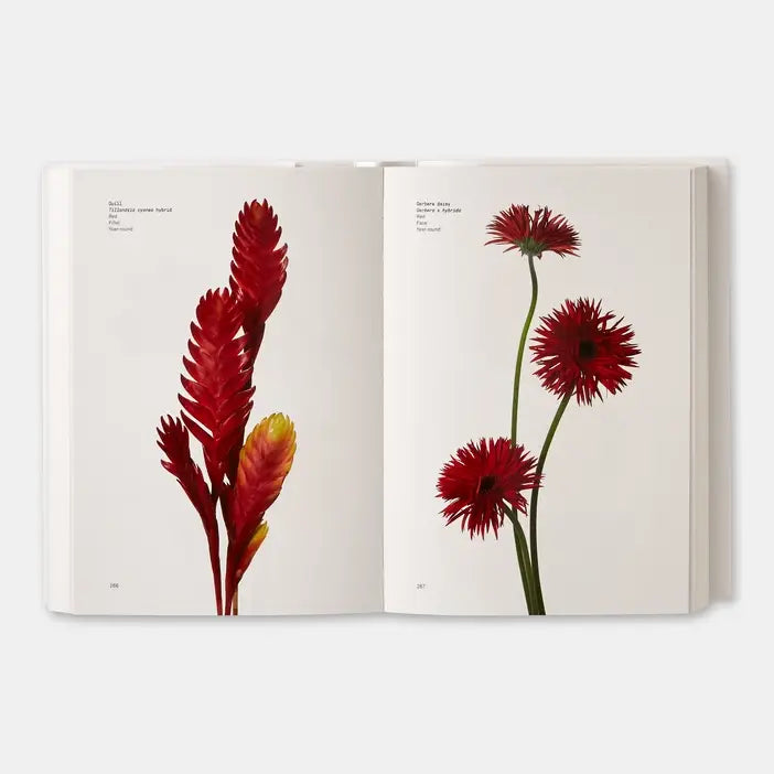 Flower Color Guide-Phaidon-Idlewild