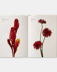 Flower Color Guide-Phaidon-Idlewild