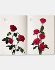 Flower Color Guide-Phaidon-Idlewild
