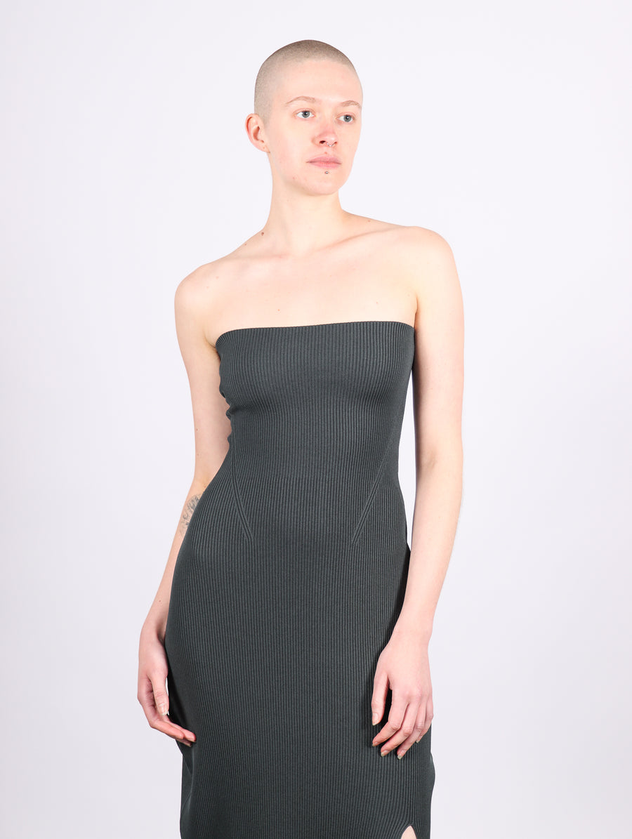 Portrait Strapless Dress in Shadow Gray by CFCL-Idlewild
