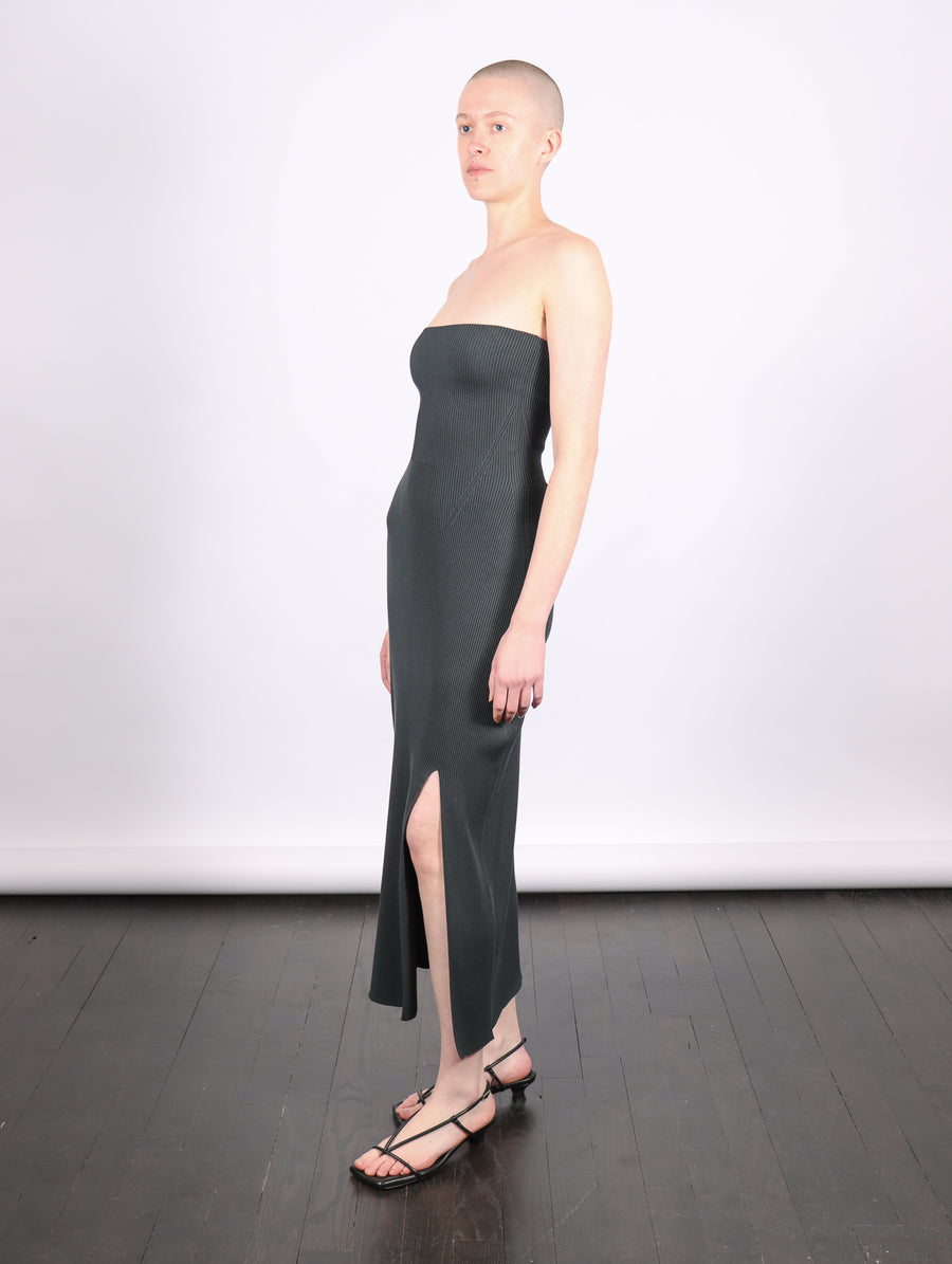 Portrait Strapless Dress in Shadow Gray by CFCL-Idlewild