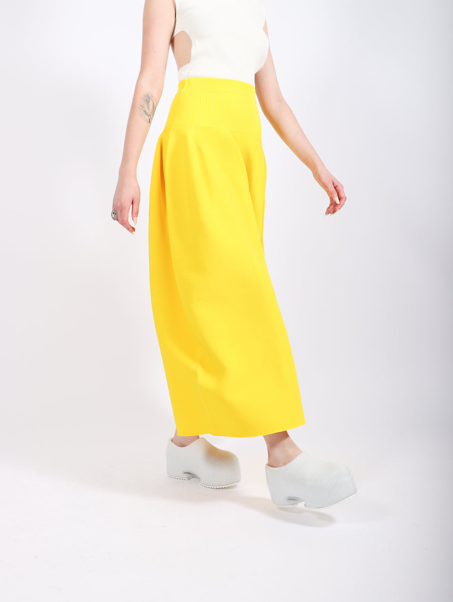Pottery Skirt in Yellow by CFCL-Idlewild