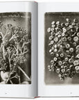Karl Blossfeldt. The Complete Published Work. 45th Ed. (German, French, English) by Taschen-Home-TASCHEN America-Idlewild