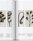 Karl Blossfeldt. The Complete Published Work. 45th Ed. (German, French, English) by Taschen-Home-TASCHEN America-Idlewild