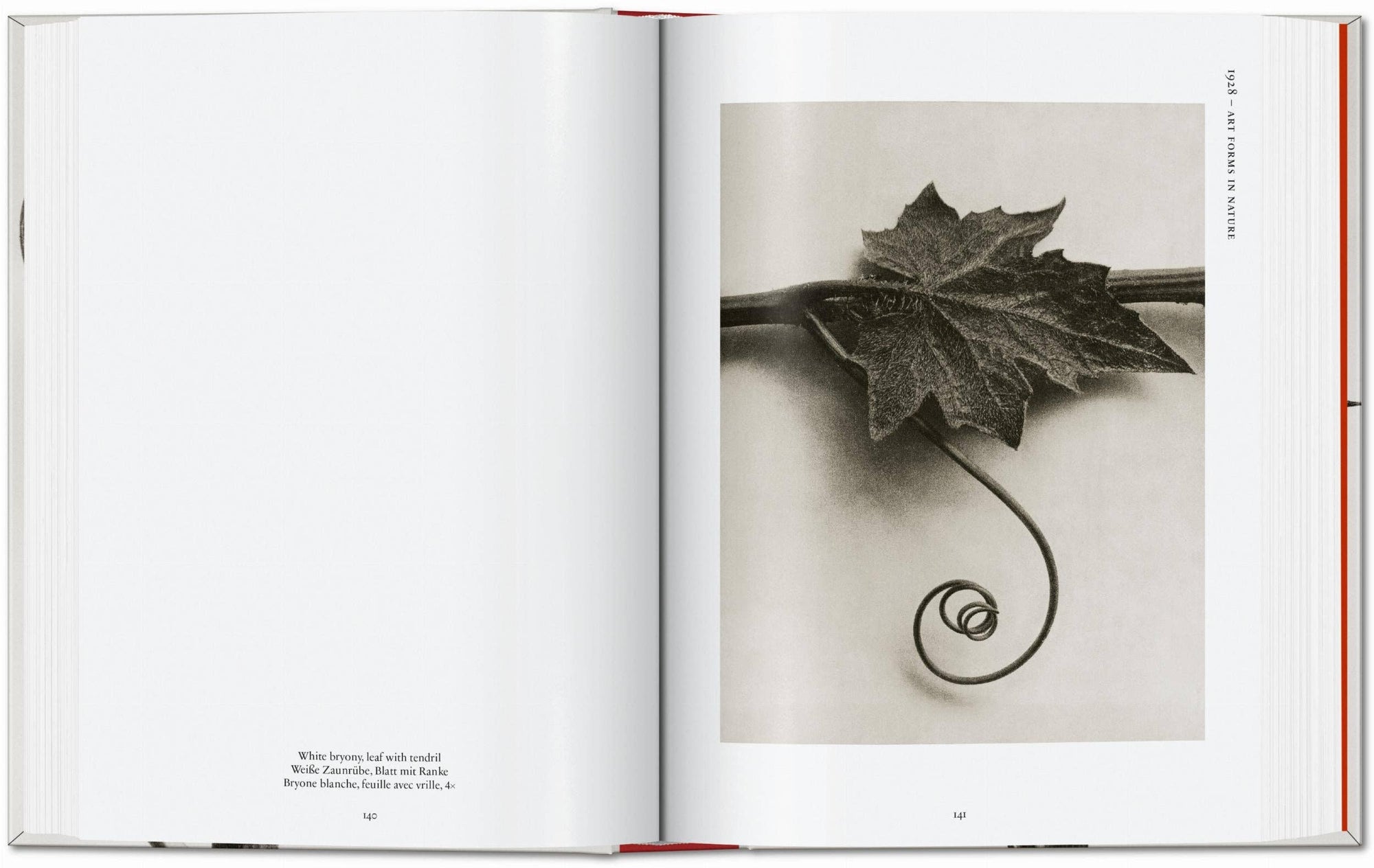 Karl Blossfeldt. The Complete Published Work. 45th Ed. (German, French, English) by Taschen-Home-TASCHEN America-Idlewild