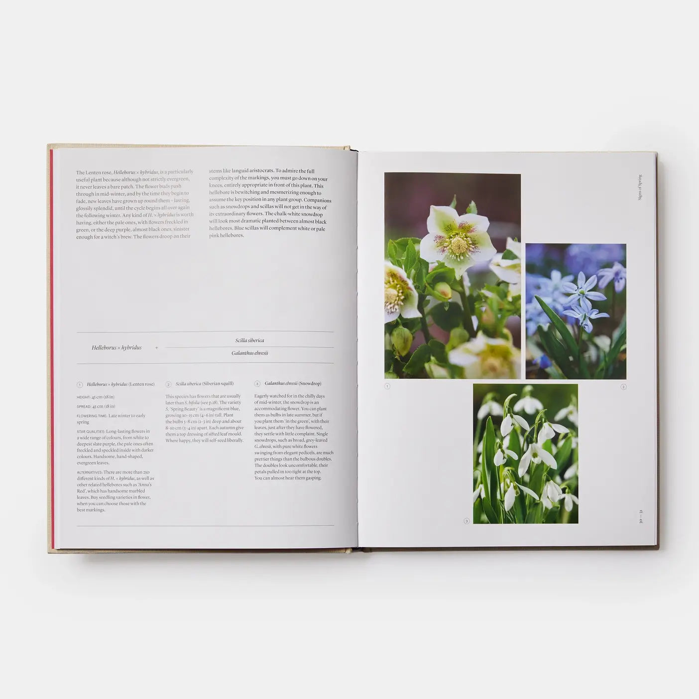 The Seasonal Gardener: Creative Planting Combinations-Phaidon-Idlewild