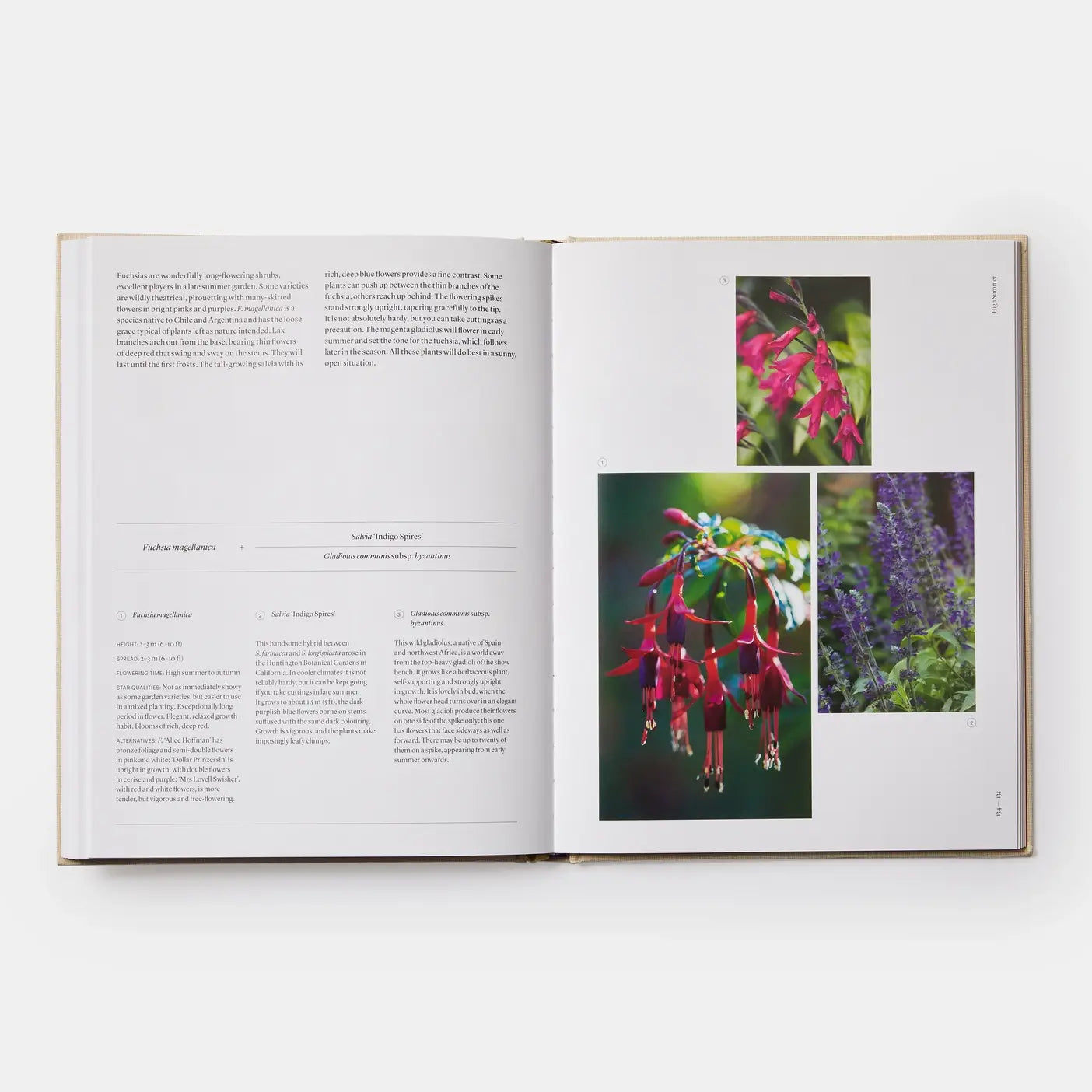 The Seasonal Gardener: Creative Planting Combinations-Phaidon-Idlewild