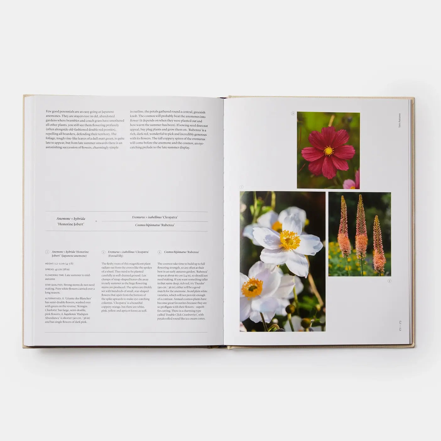 The Seasonal Gardener: Creative Planting Combinations-Phaidon-Idlewild