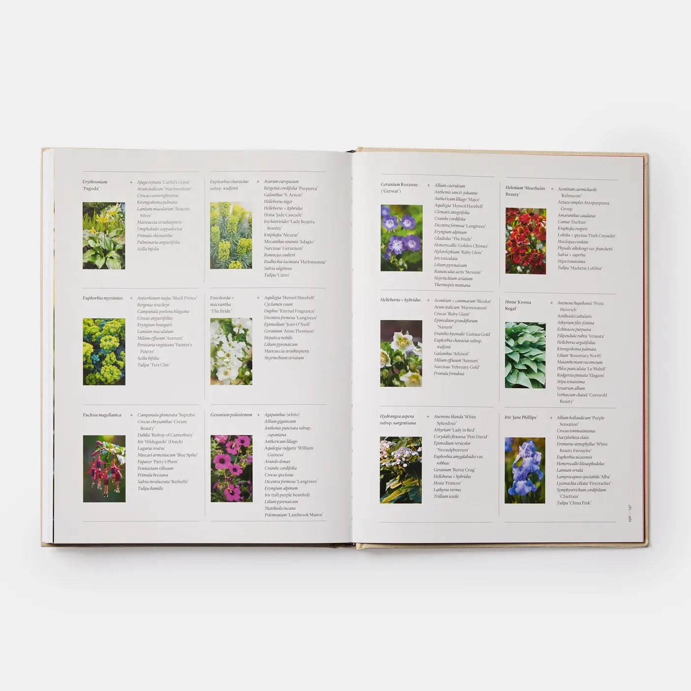 The Seasonal Gardener: Creative Planting Combinations-Phaidon-Idlewild